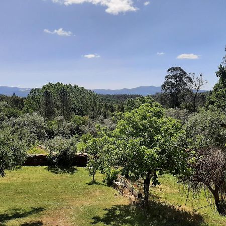 Porturama Bed and Breakfast Mouronho Εξωτερικό φωτογραφία