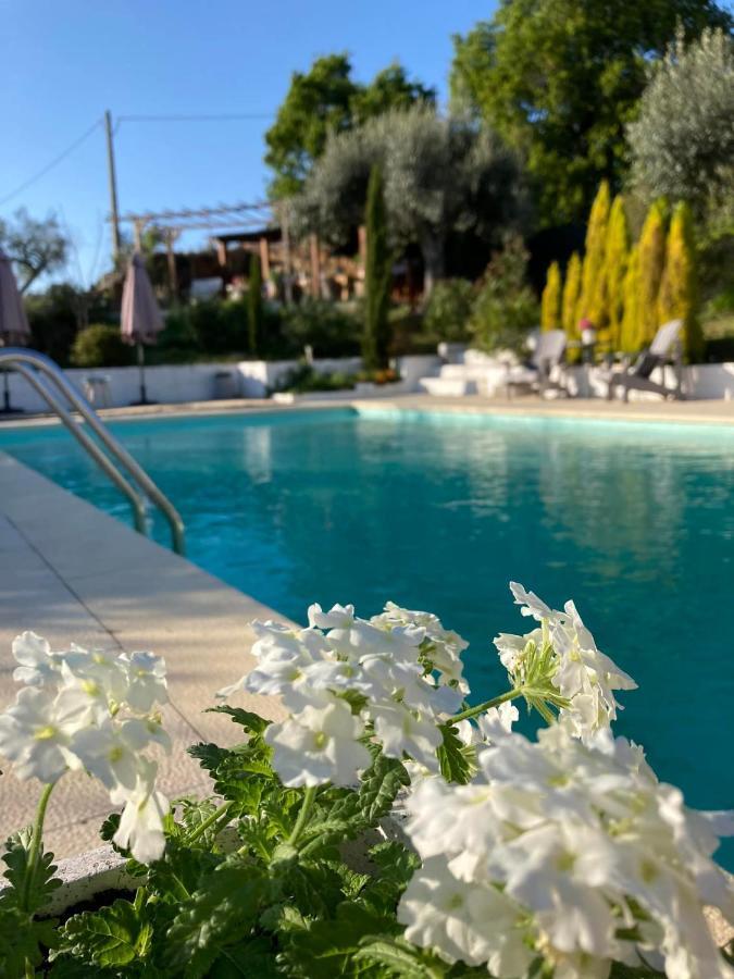 Porturama Bed and Breakfast Mouronho Εξωτερικό φωτογραφία