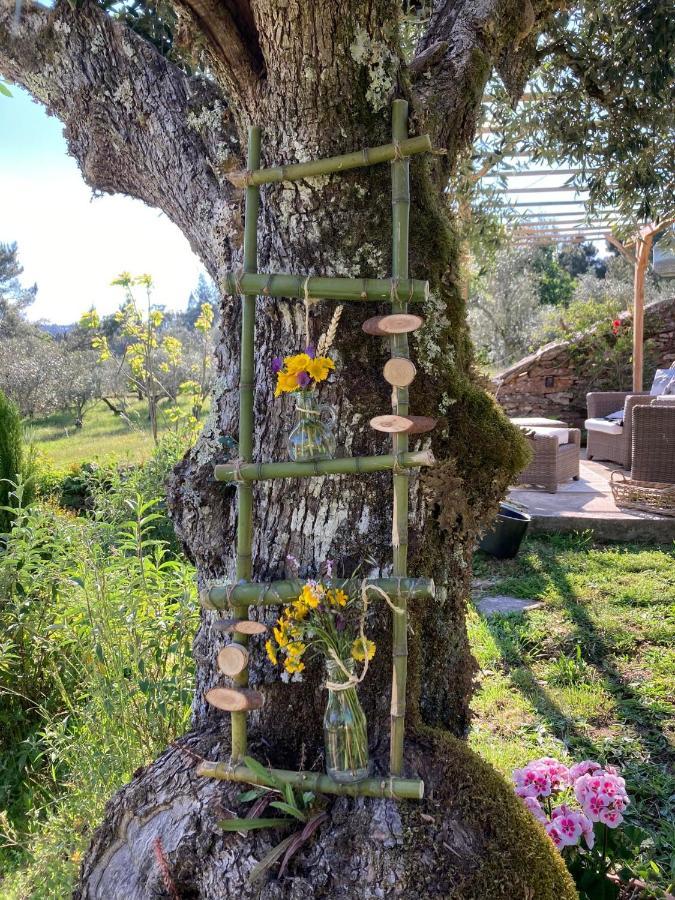 Porturama Bed and Breakfast Mouronho Εξωτερικό φωτογραφία