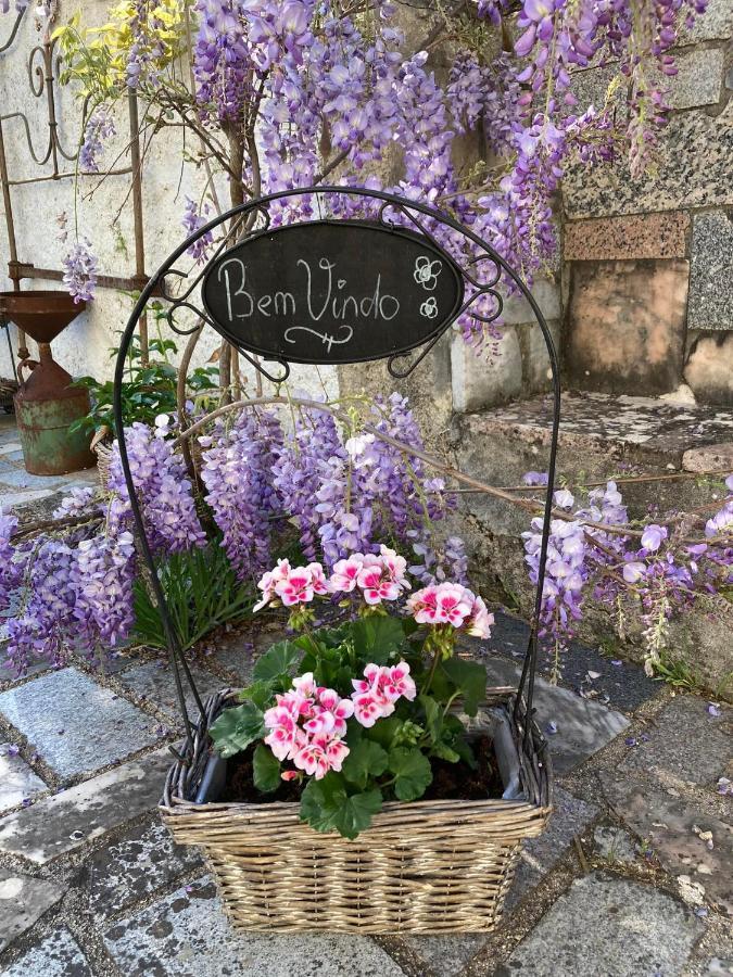 Porturama Bed and Breakfast Mouronho Εξωτερικό φωτογραφία