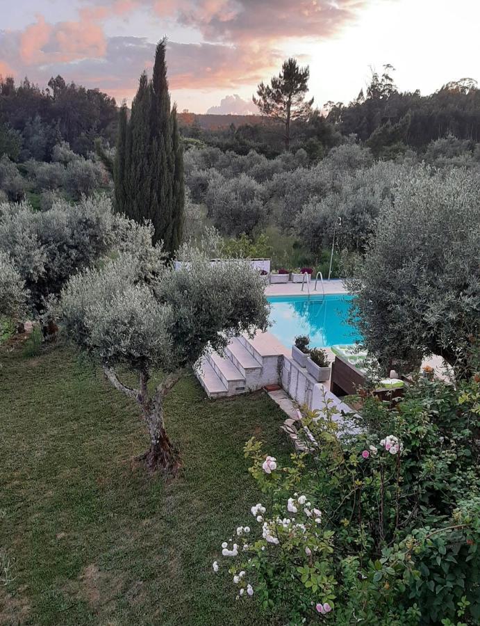 Porturama Bed and Breakfast Mouronho Εξωτερικό φωτογραφία